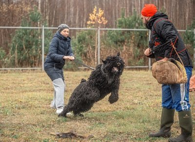  РЧТ ЭЙФОРИЯ ПОБЕДЫ; Photo 2