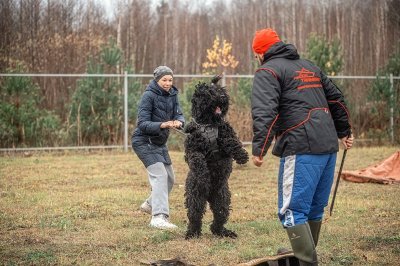  РЧТ ЭЙФОРИЯ ПОБЕДЫ; Photo 1