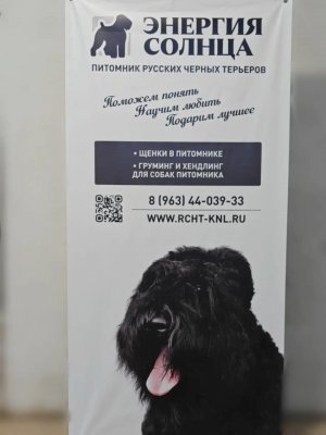 Изображение  :    