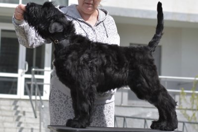  РЧТ ЭНЕРГИЯ СОЛНЦА АНДРОМЕДА; Photo 1