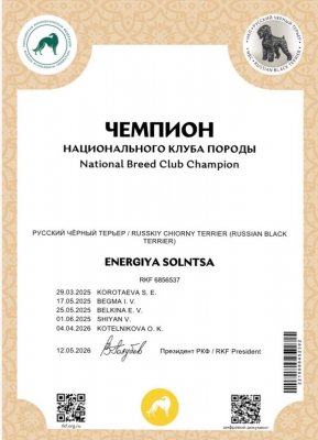  РЧТ ЭНЕРГИЯ СОЛНЦА; Энергия Солнца ( Ксюша) Чемпион НКП