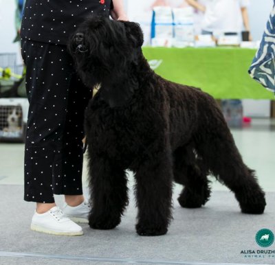  РЧТ ЭНЕРГИЯ СОЛНЦА; Photo 2